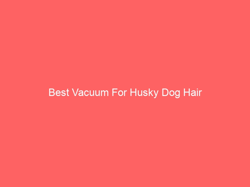 Read more about the article Best Vacuum For Husky Dog Hair