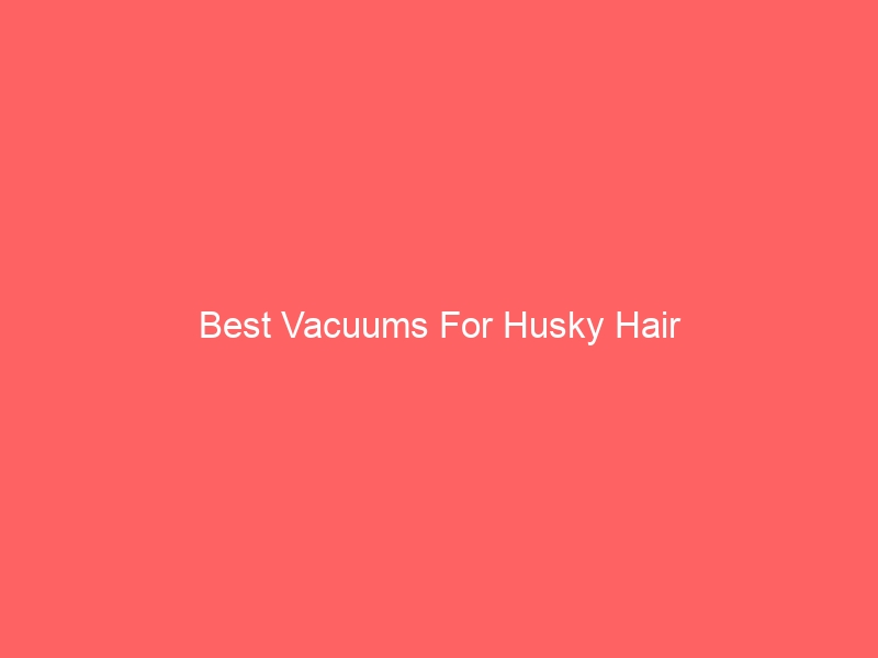 Read more about the article Best Vacuums For Husky Hair