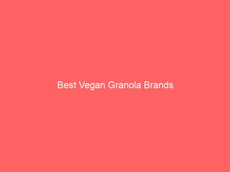 Read more about the article Best Vegan Granola Brands