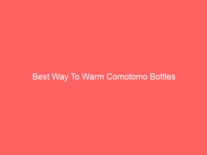 Read more about the article Best Way To Warm Comotomo Bottles