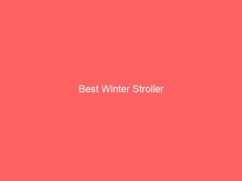 Read more about the article Best Winter Stroller